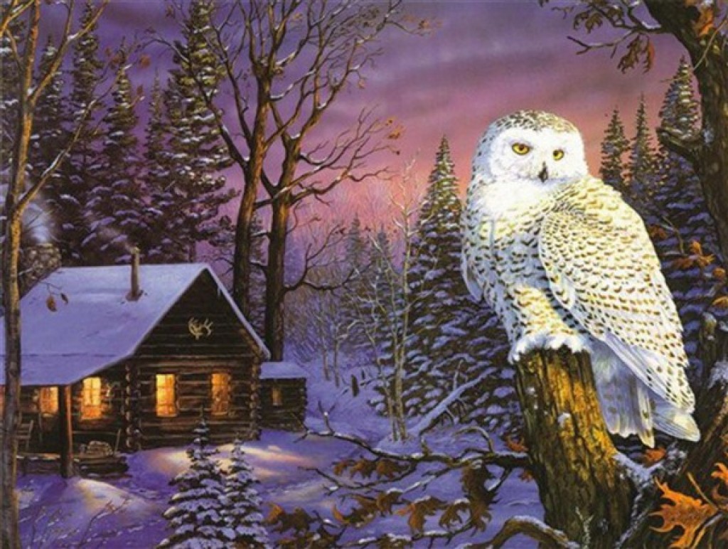 Movas Sanat Gece Avında Beyaz Baykuş | Elmas Mozaik Tablo | Mozaik Puzzle | 50x50 | E20201908İO